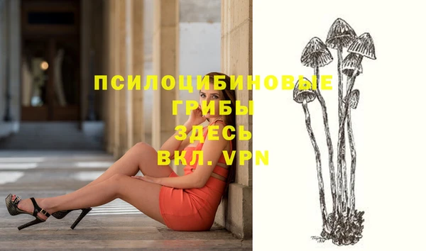 apvp Медвежьегорск