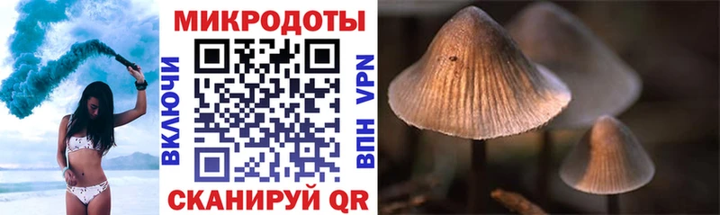 купить наркотики сайты  Райчихинск  Псилоцибиновые грибы MAGIC MUSHROOMS 